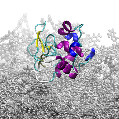 Understanding fouling mechanism of polyamide membranes